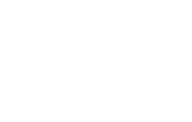 Viino logo